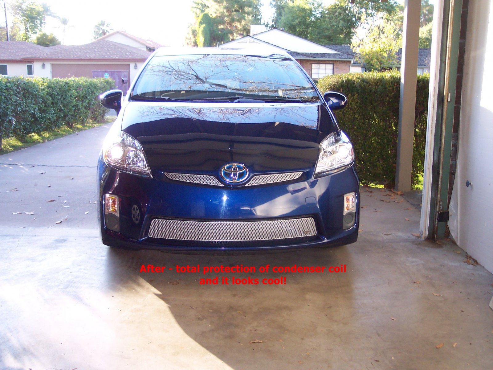 Prius front grill 016.JPG