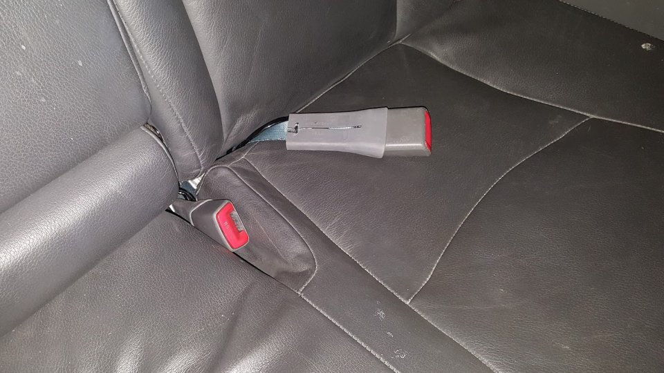 seat belt2.jpg