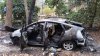 Prius Fire and Explosion Passenger Side.jpg