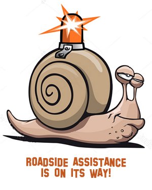 snail-assistance.jpg
