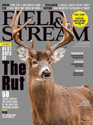 FS-cover.jpg