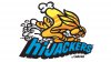 hijacker_logo.jpg
