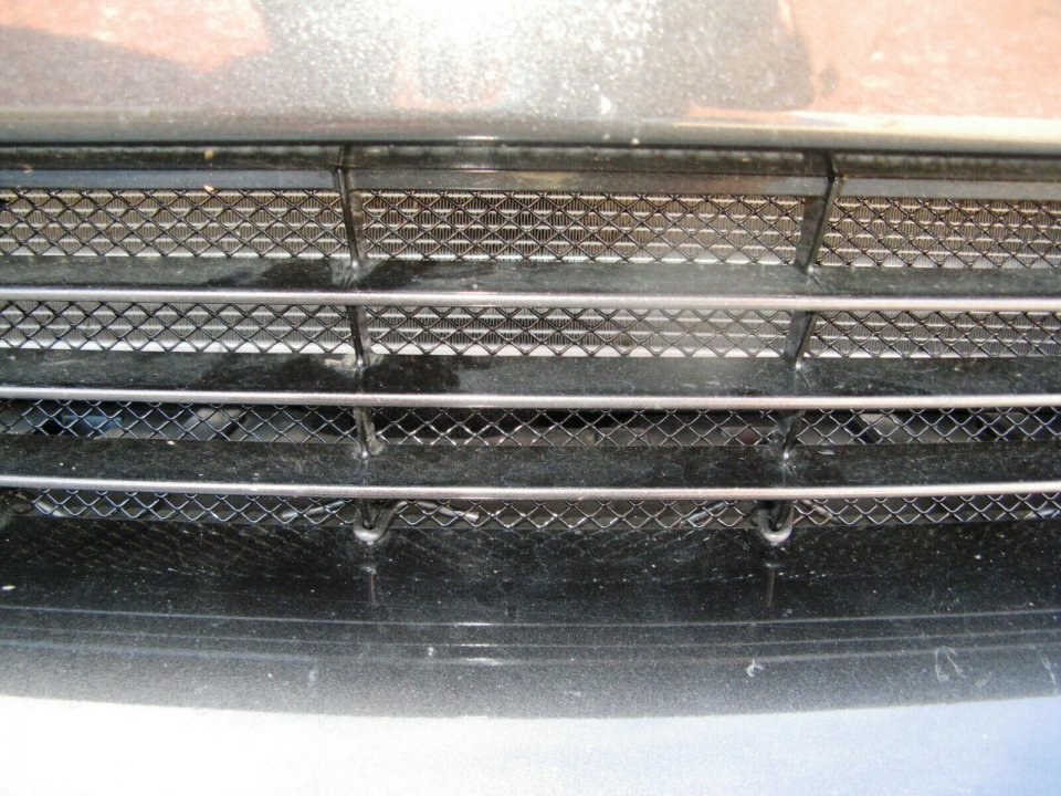 grille guard.jpg