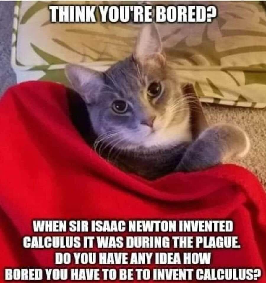Sir Isaac Newton So Bored he invented calculus.jpg