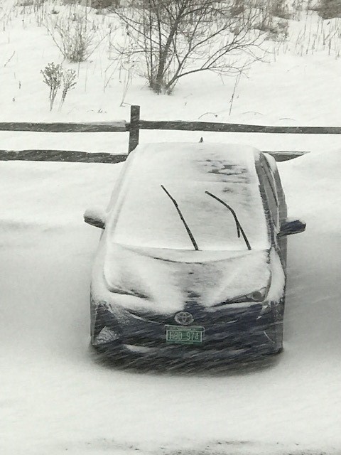 Prius blizzard (2).jpg