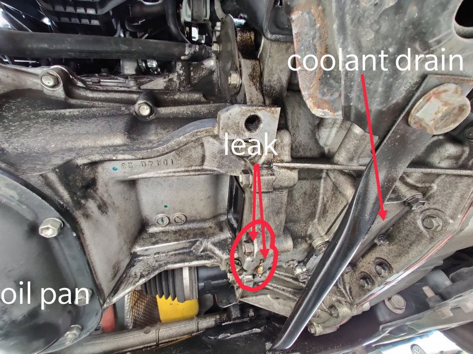 How to Tell If You Have a Transmission Leak  