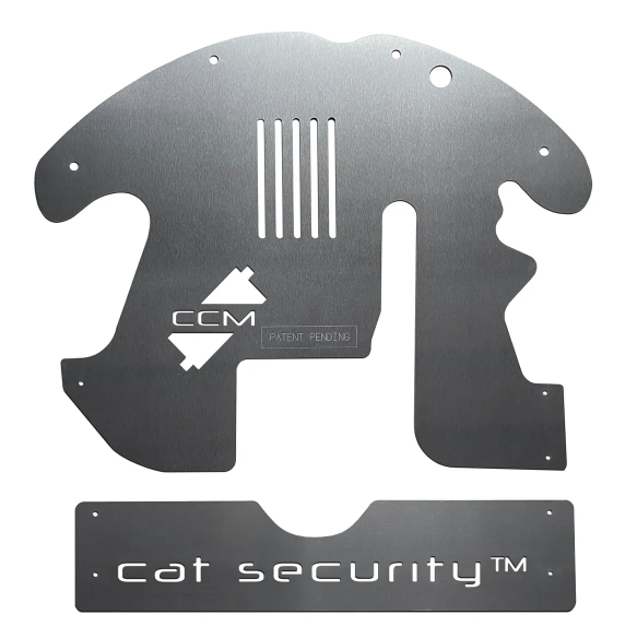 cat-security.PNG