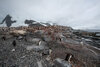Antarctica-2020-29.jpg