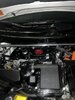 IMG_6690.jpeg