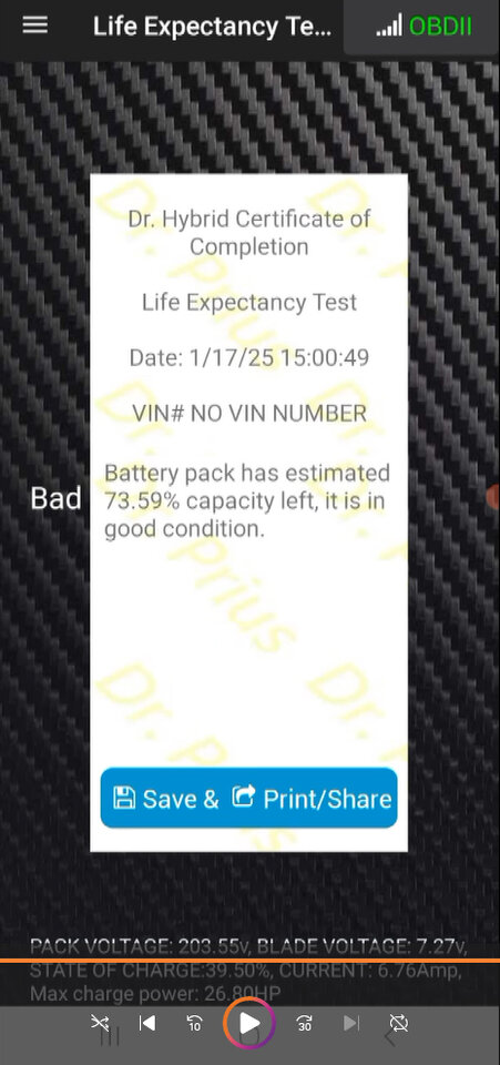 Battery Capacity (Life Expectancy) Test.jpg