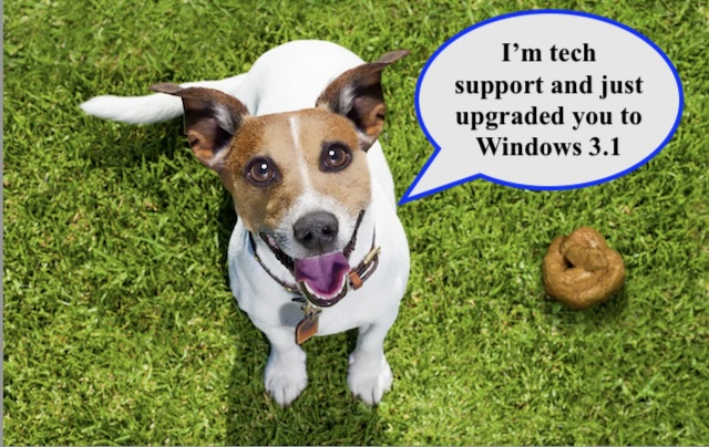 Microsoft.jpg