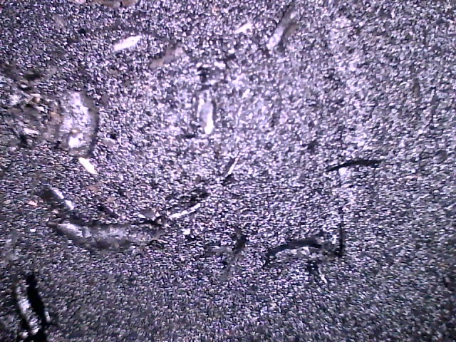 PistonHead1CloseUp.jpg