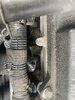 IMG_0110.jpeg