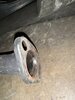 IMG_1319.jpeg