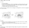 SPG.png