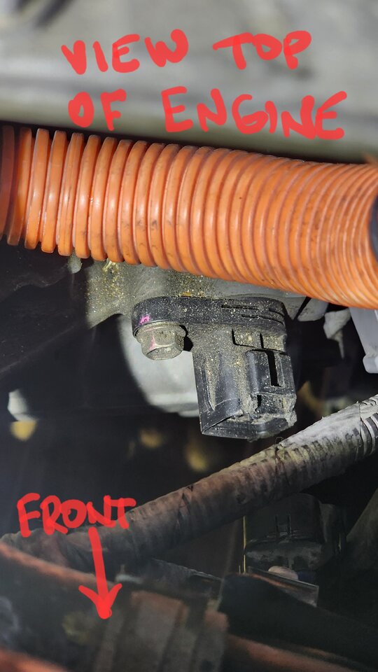 Top Plug.jpg