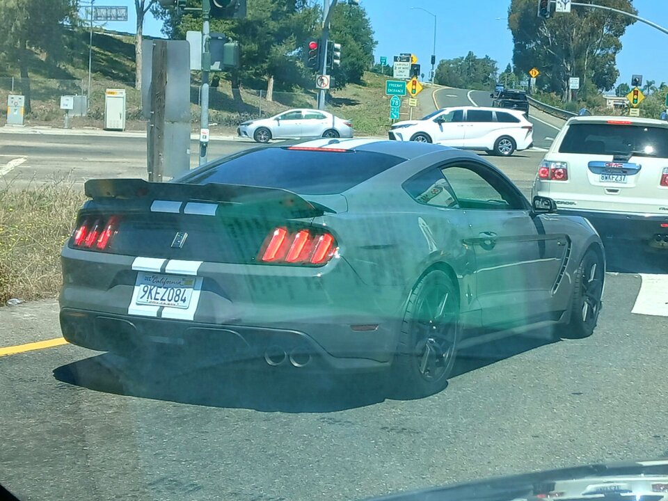 20250628_105811.jpg