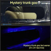 mystery trunk goo.jpg
