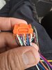 20250626_172800.jpg