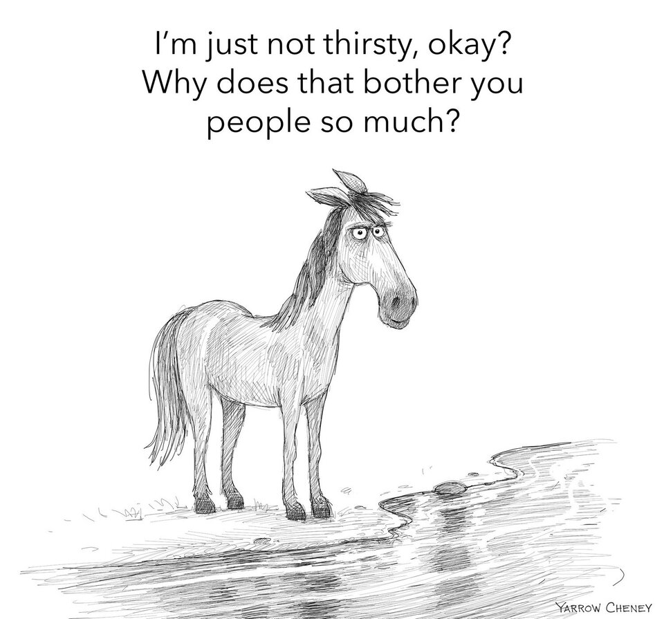Lead horse to water.jpeg