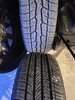 IMG_2950.jpeg
