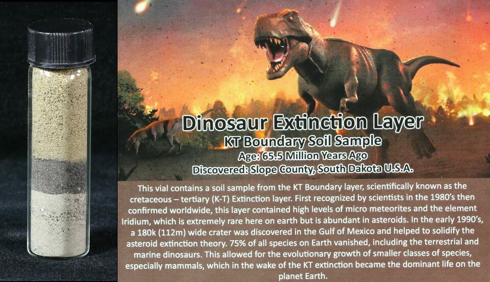 kt-boundary-soil-sample-in-vial-dinosaur-extinction-layer-311795876.jpg