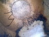 IMG_0820.jpeg
