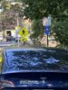 IMG_0319.jpeg