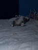 IMG_8298.jpeg