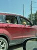 IMG_8349.jpeg