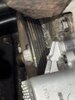 IMG_0086.jpeg