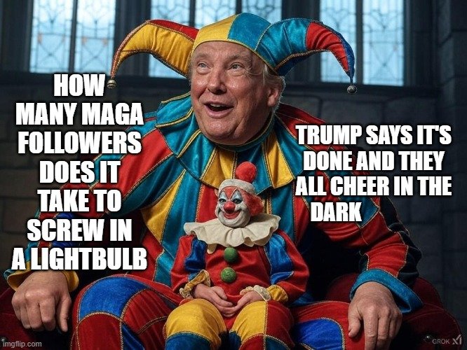 Maga light bulb changers.jpg