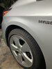 IMG_1963.jpeg