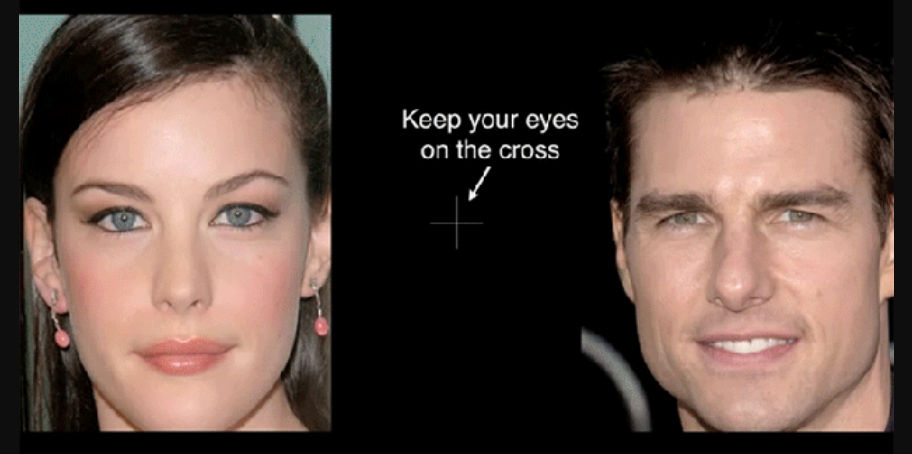 FACES.png