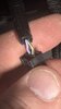 IMG_1598.jpeg