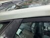 IMG_1391.jpeg