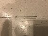 IMG_2772.jpeg