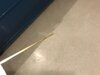 IMG_2777.jpeg
