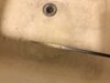 IMG_2781.jpeg