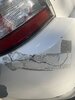 IMG_2830.jpeg