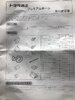 IMG_1503.jpeg