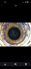 IMG_6584.png