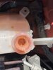 IMG_7696.jpg