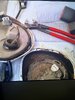 IMG_4903.jpeg