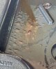 IMG_0495.jpeg